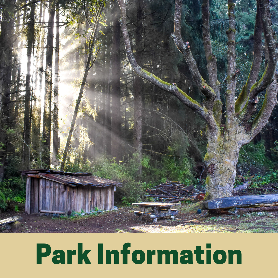 Park Information